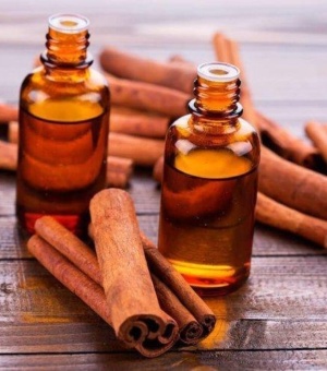 Cinnamon Essential Oil