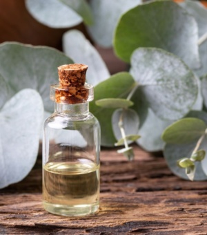 Eucalyptus Oil