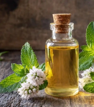 Peppermint Oil