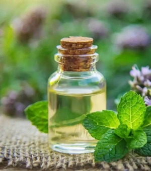 Mint Oil