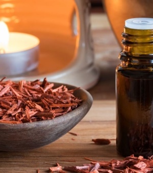 Sandalwood Essential Oil