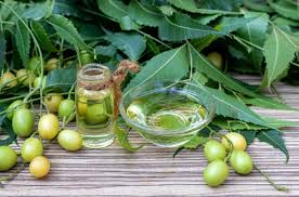 Neem Oil