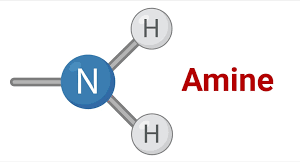 Amines