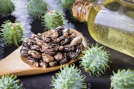 Castor oil