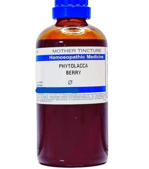 Phytolacca Berry
